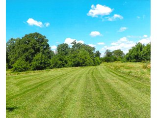 21.868+/- Acres. 
Per the owner, there are 290 walnut trees that are approximately 10 years old.
The Little Monon Creek runs through this property.

There is a cemetery on this property and they have ingress and egress access to the property. - Recreatonal & Investment & Possible Building Site